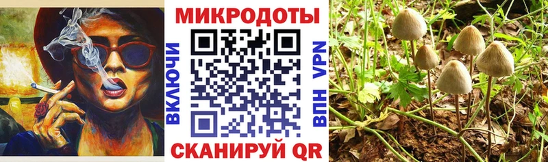 Псилоцибиновые грибы MAGIC MUSHROOMS наркошоп Евпатория