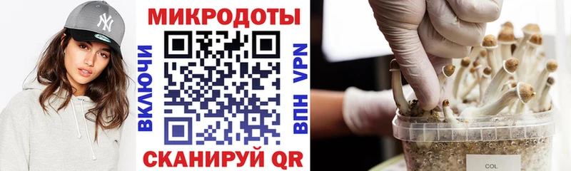Псилоцибиновые грибы MAGIC MUSHROOMS Евпатория