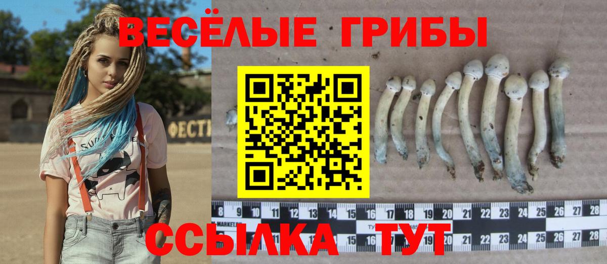 Галлюциногенные грибы GOLDEN TEACHER Евпатория