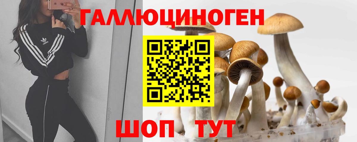 Галлюциногенные грибы GOLDEN TEACHER  Вход с VPN  Евпатория  Галлюциногенные грибы прущие грибы 